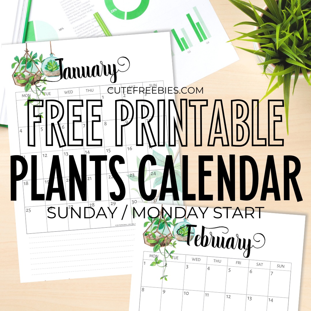 Free Printable 2023 2024 Calendar - 12 monthly planners with hanging plants design. #freeprintable #cutefreebiesforyou #2024