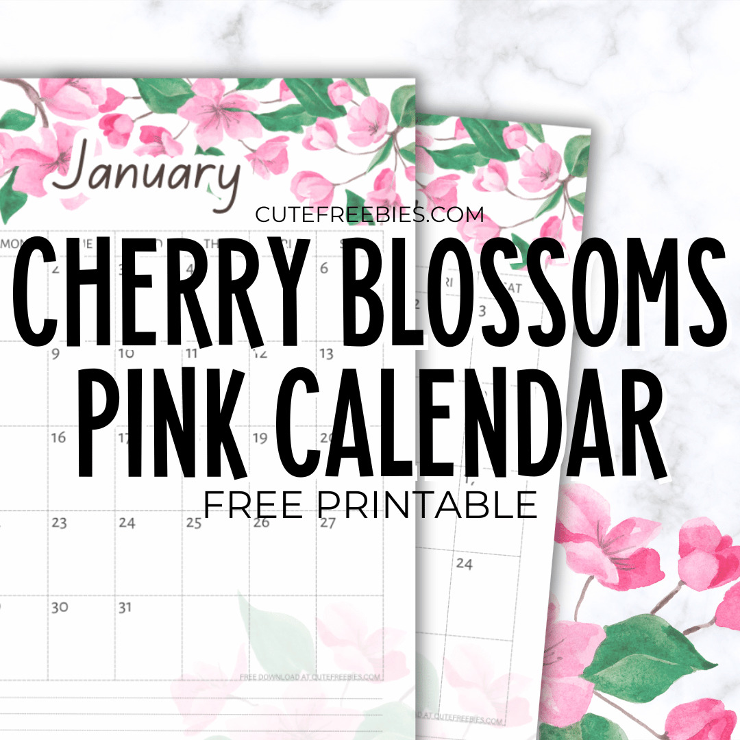 Free Printable 2024 Cherry Blossoms Calendar - floral pink monthly calendar PDF with sakura flowers or cherry blossoms #freeprintable #cutefreebiesforyou #sakura #cherryblossoms